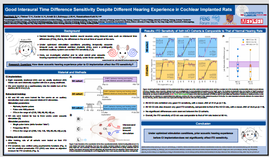Sarah's poster