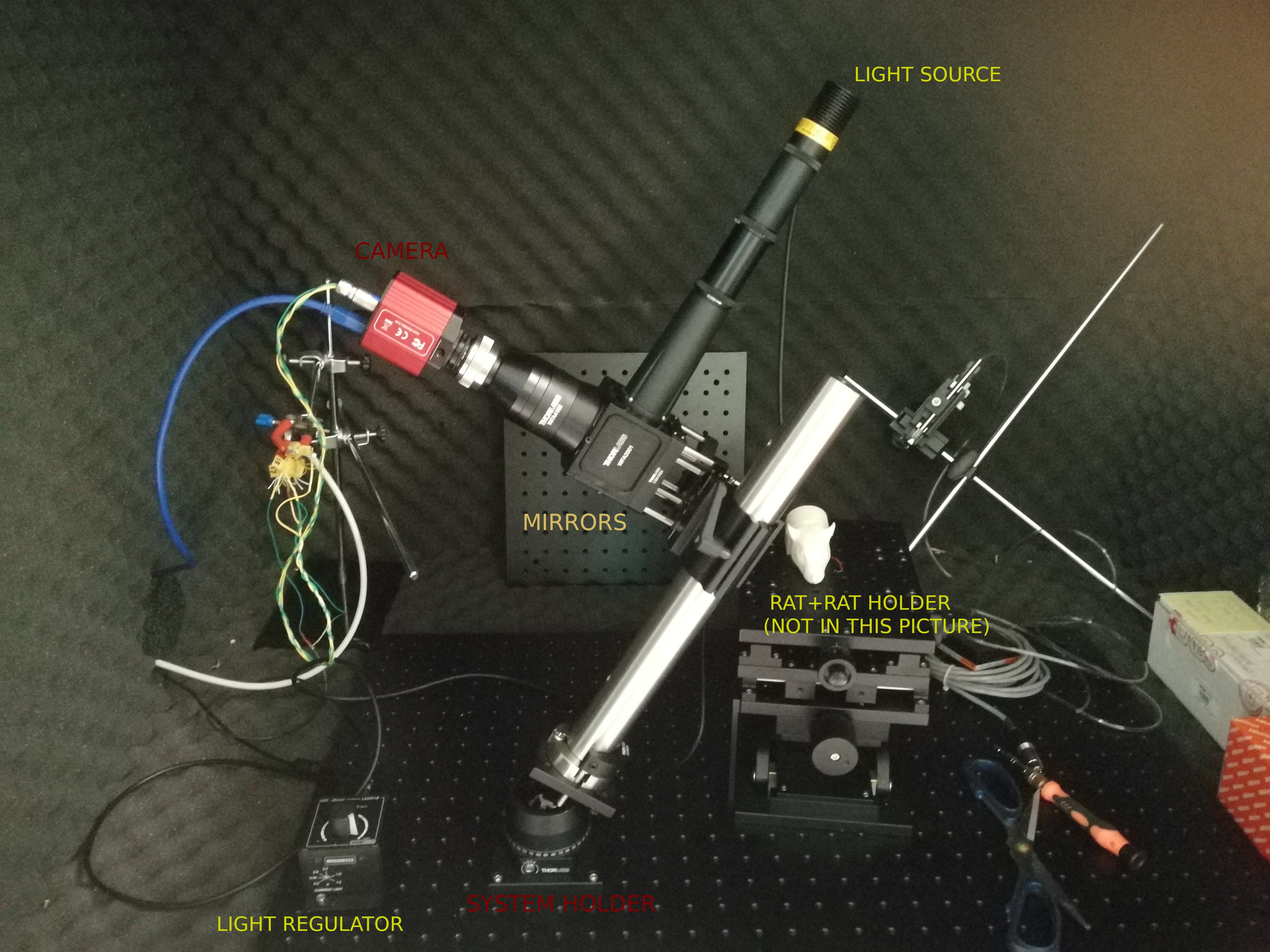 Photo of the Ca++ imaging set-up. Please consider that we did not put pictures of "external" set-up such as RZ6 or the computer, which both play a fundamental role in our experiments.